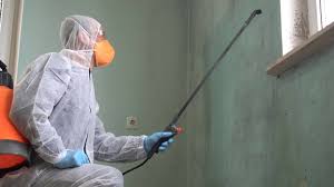 Union City, OH Mold Removal Company