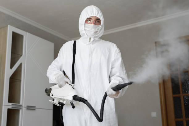 Why You Should Choose Our Mold Remediation Services in Union City, OH